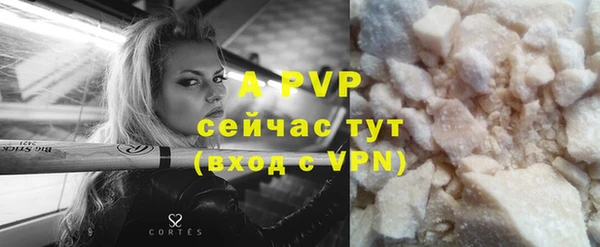 СК Абинск