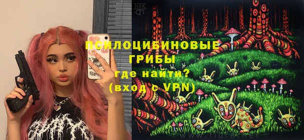 ПСИЛОЦИБИНОВЫЕ ГРИБЫ Абдулино