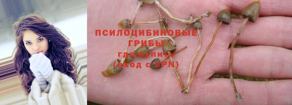 ПСИЛОЦИБИНОВЫЕ ГРИБЫ Абдулино