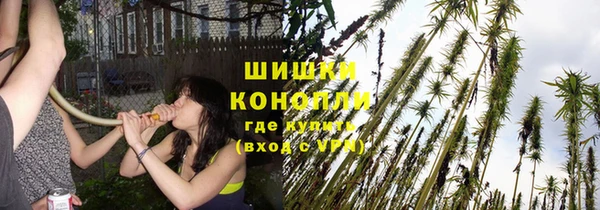 а пвп мука Абаза