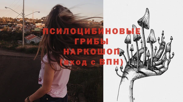 СК Абинск