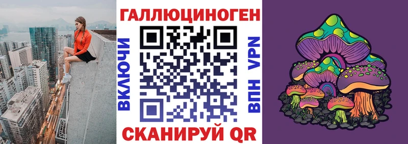 Галлюциногенные грибы Psilocybine cubensis  Кизляр 