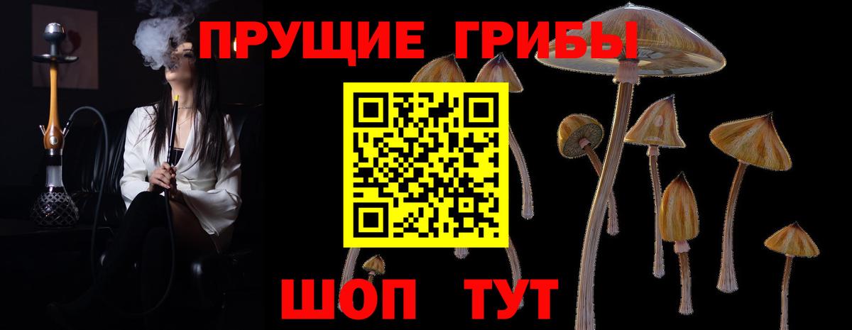 Псилоцибиновые грибы мухоморы Кизляр